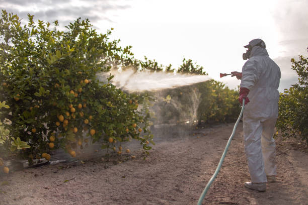 Best Affordable Pest Control Services  in Bellefontaine, OH