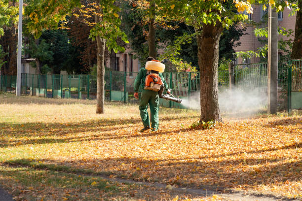  Bellefontaine, OH Pest Control Pros
